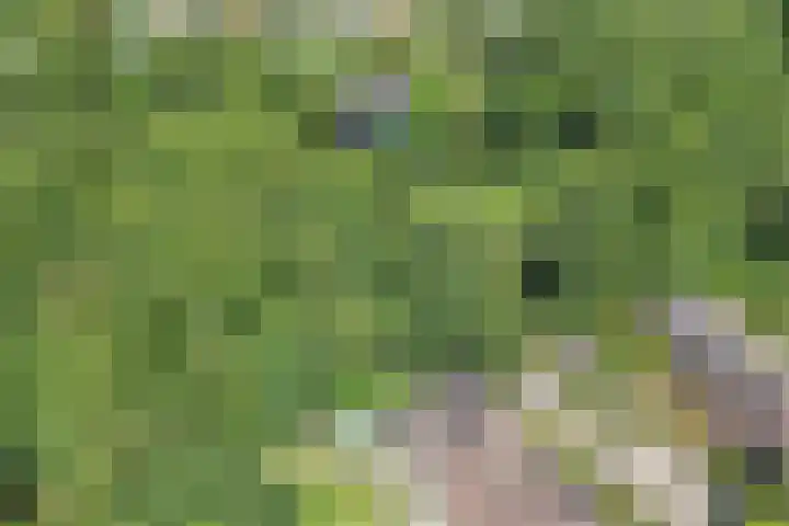 Richel 2 Emmeloord thumbnail 61