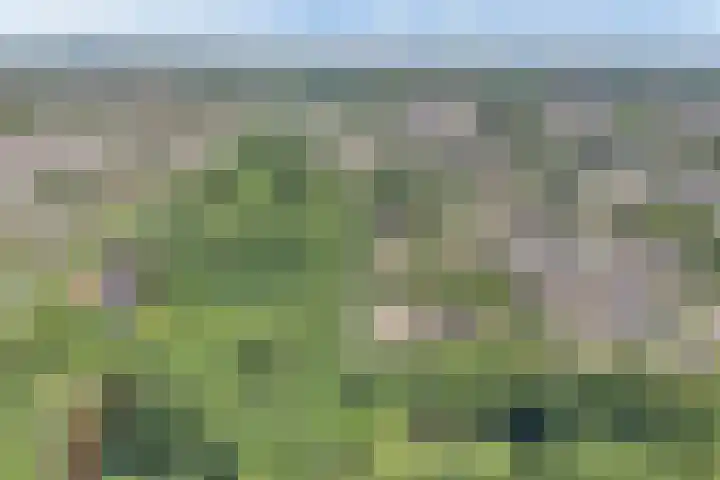 Richel 2 Emmeloord thumbnail 62