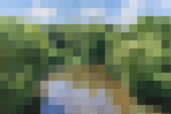 Richel 2 Emmeloord thumbnail 63