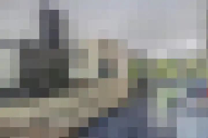 Richel 2 Emmeloord thumbnail 7