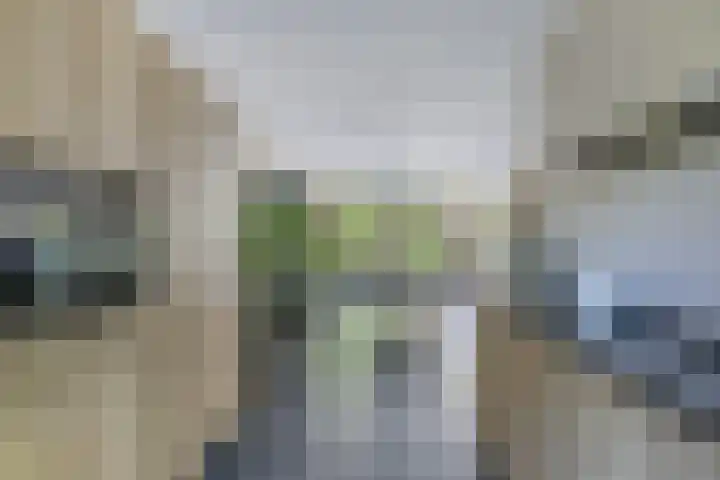 Richel 2 Emmeloord thumbnail 8