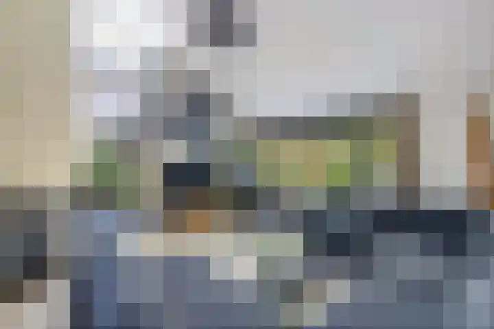 Richel 2 Emmeloord thumbnail 9