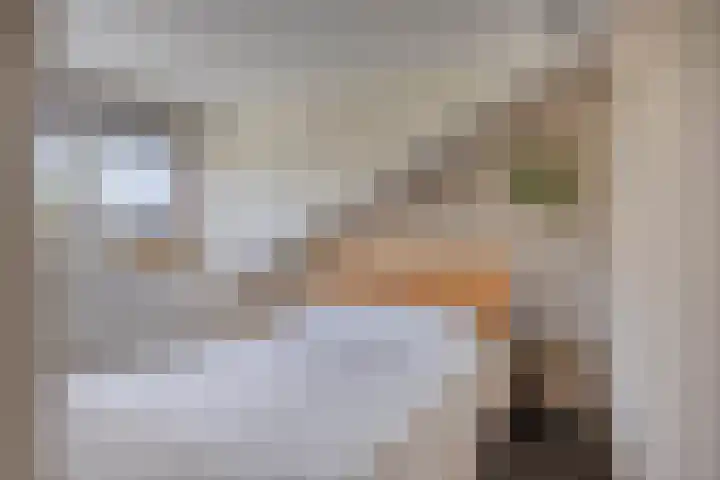 Richel 47 Urk thumbnail 21