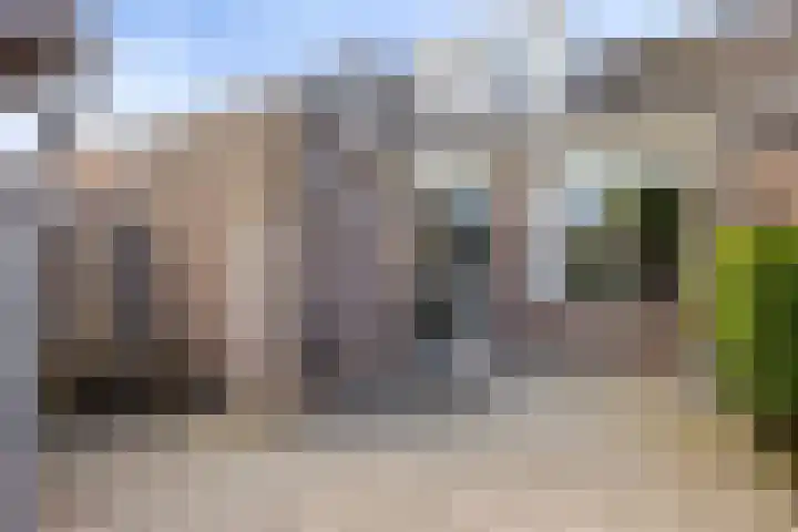 Richel 47 Urk thumbnail 27