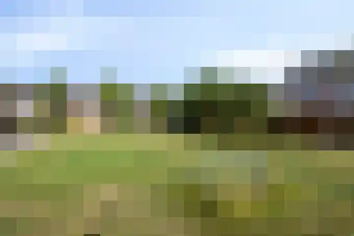 Richel 47 Urk thumbnail 29