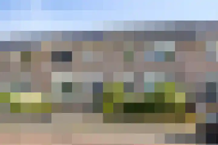 Richel 47 Urk thumbnail 6