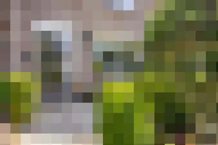 Richel 47 Urk thumbnail 7