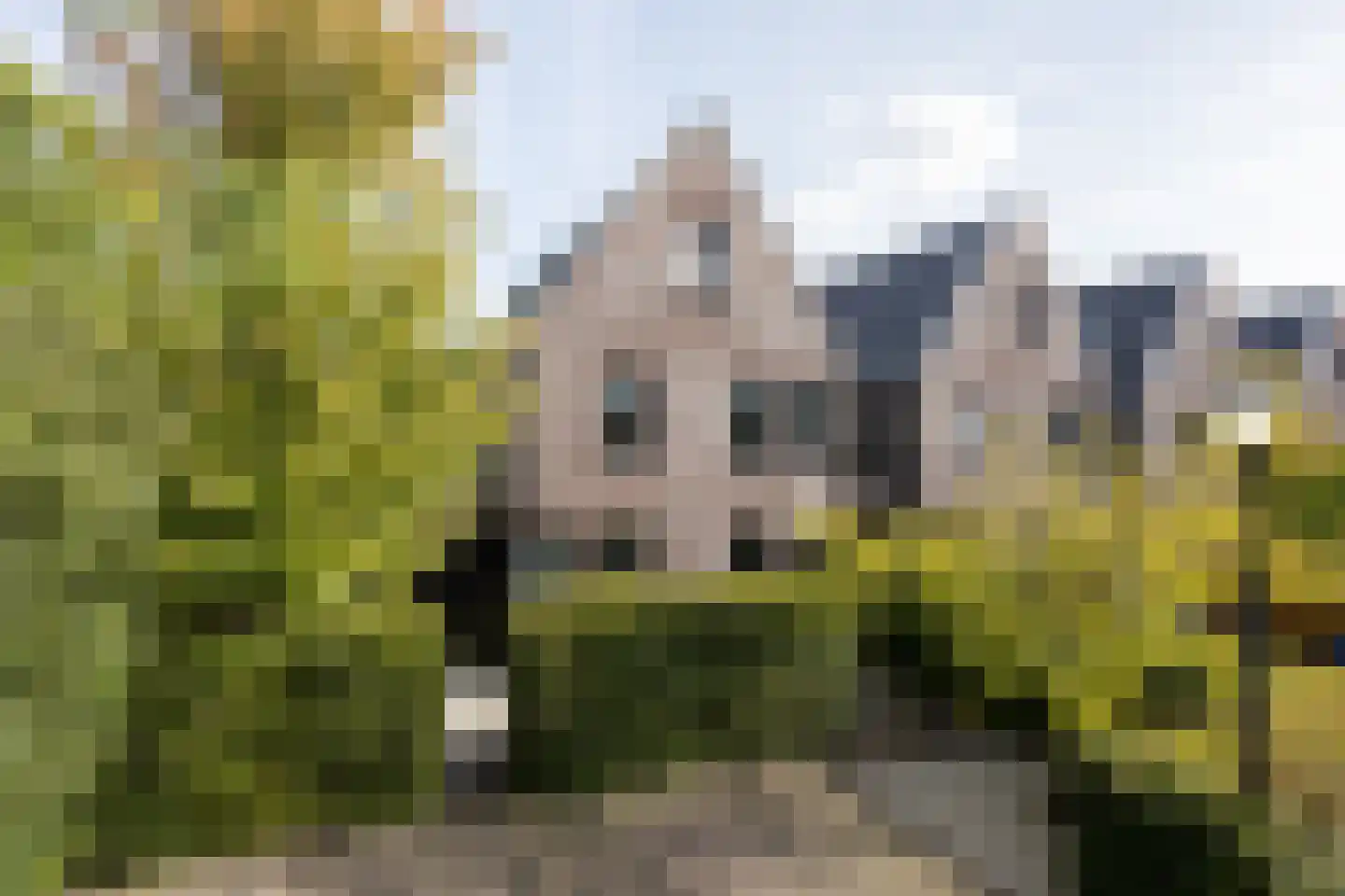 Richelhof 1 in Berkel en Rodenrijs