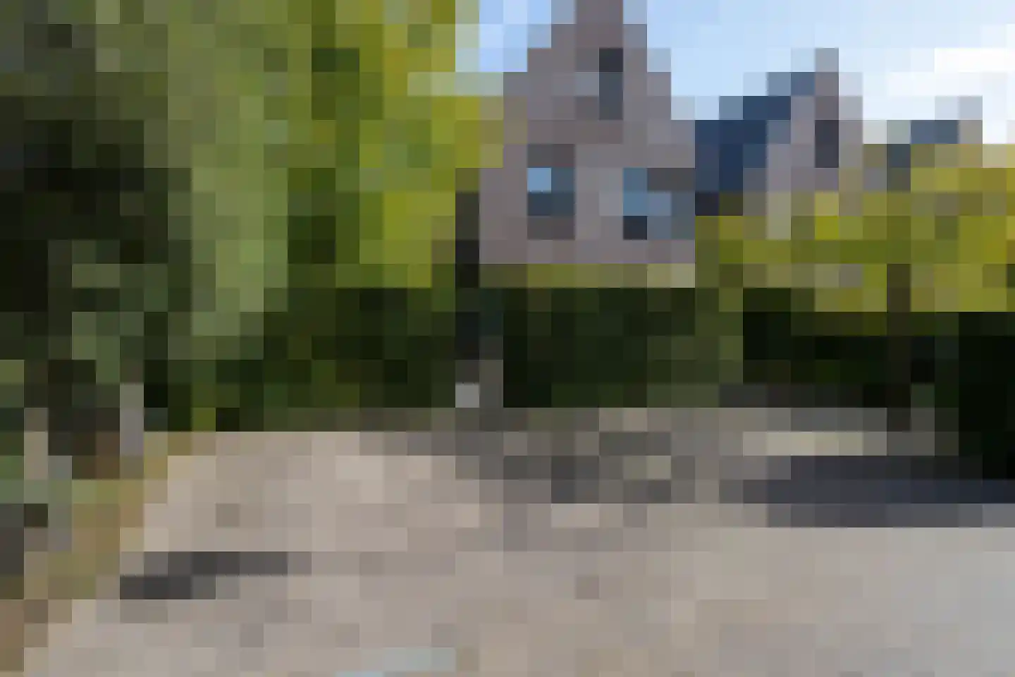 Richelhof 1 Berkel en Rodenrijs thumbnail 5