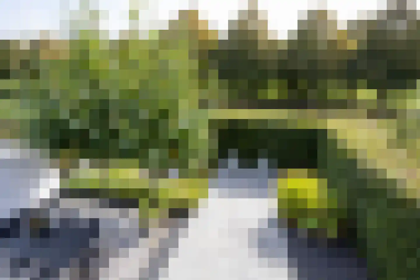 Richelhof 1 Berkel en Rodenrijs thumbnail 58