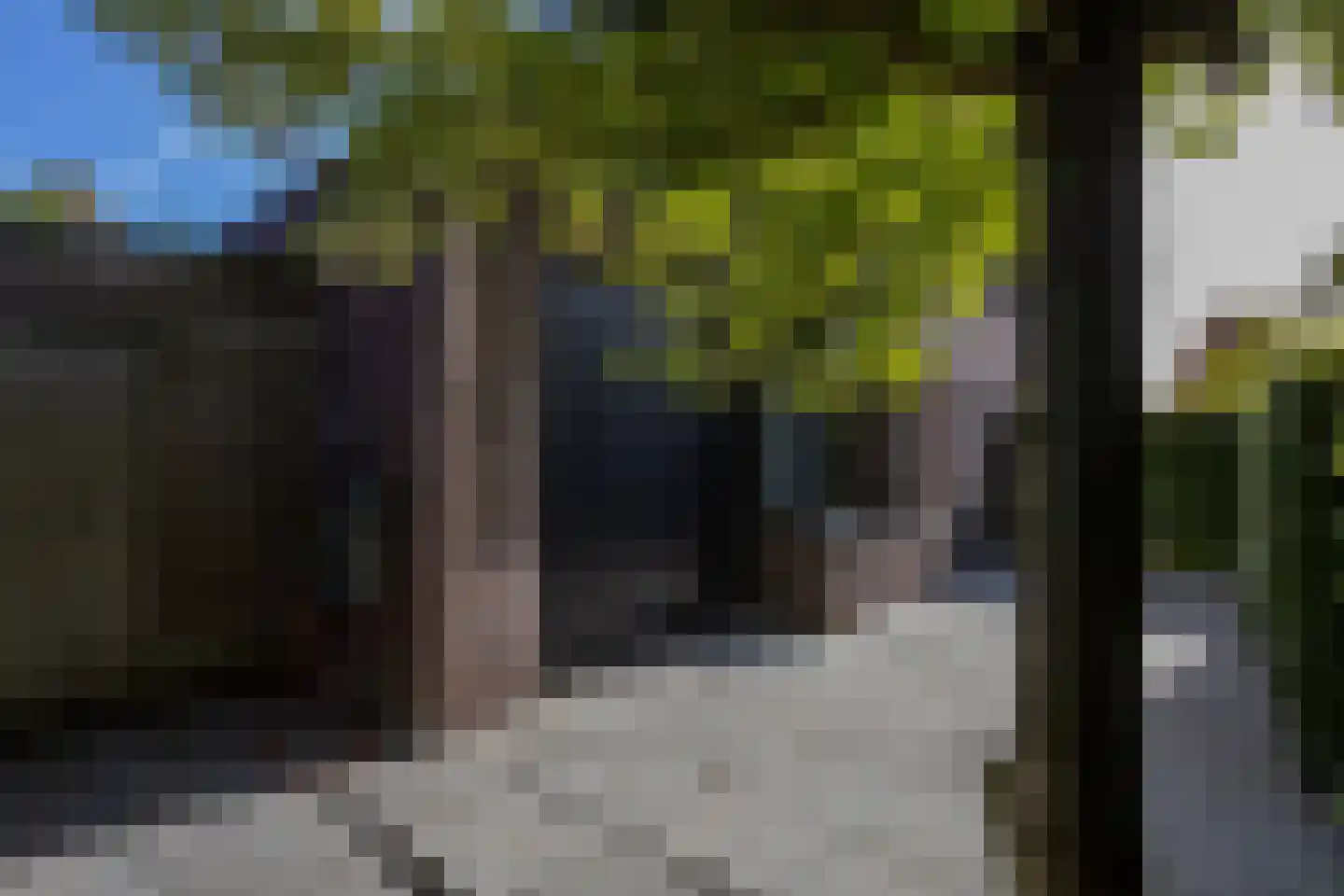 Richelhof 1 Berkel en Rodenrijs thumbnail 6