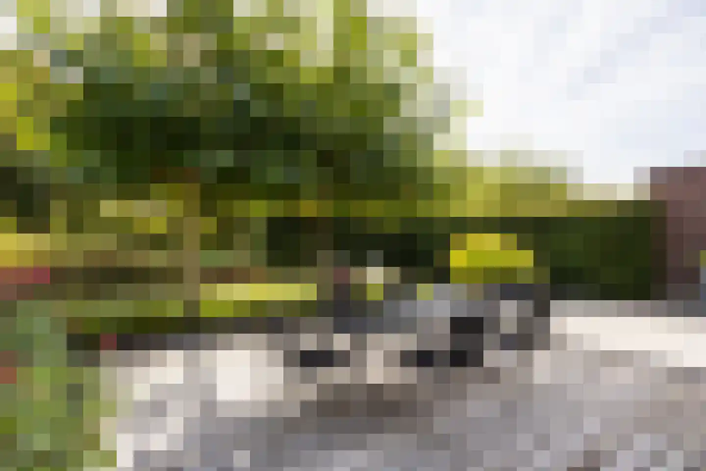 Richelhof 1 Berkel en Rodenrijs thumbnail 61
