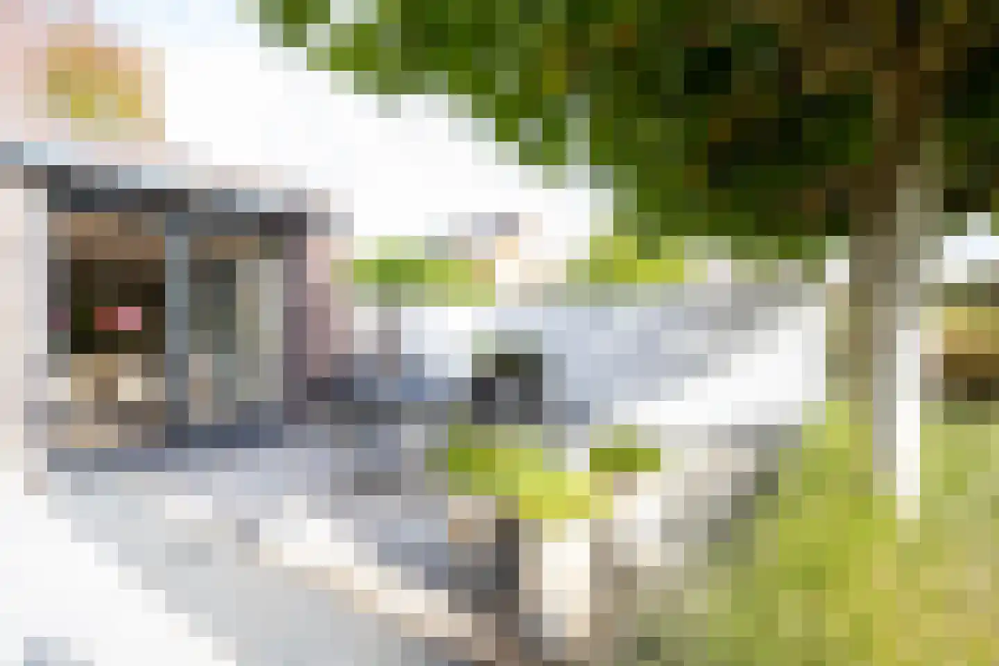 Richelhof 1 Berkel en Rodenrijs thumbnail 65
