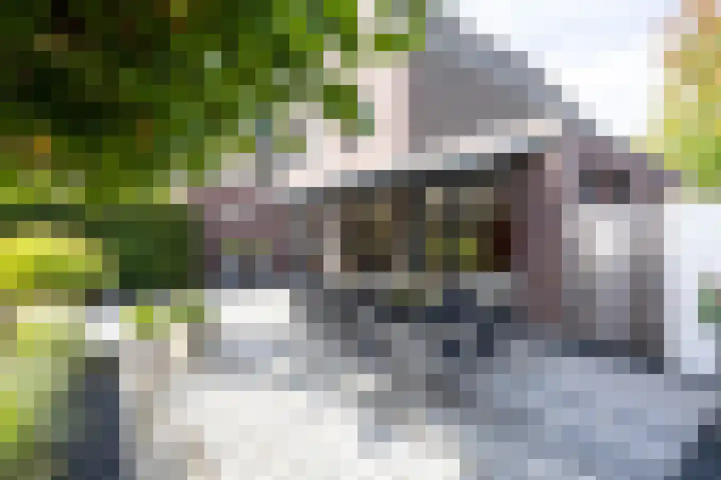 Richelhof 1 Berkel en Rodenrijs thumbnail 66