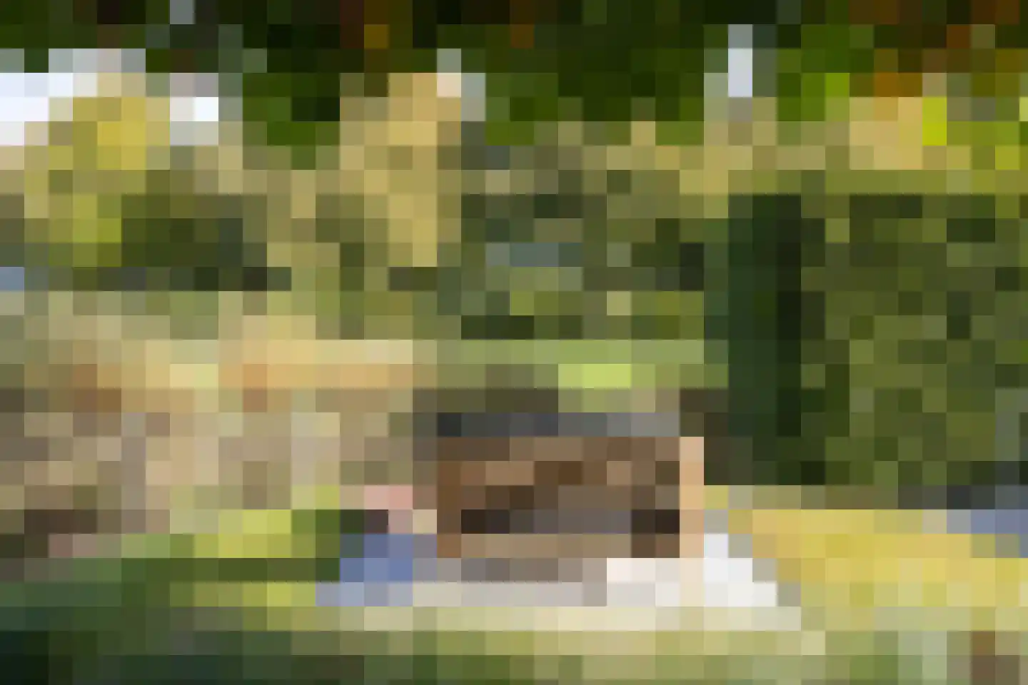 Richelhof 1 Berkel en Rodenrijs thumbnail 67
