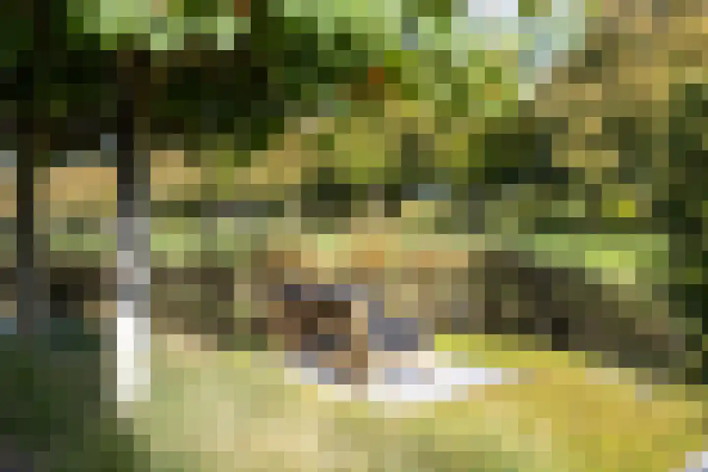 Richelhof 1 Berkel en Rodenrijs thumbnail 68