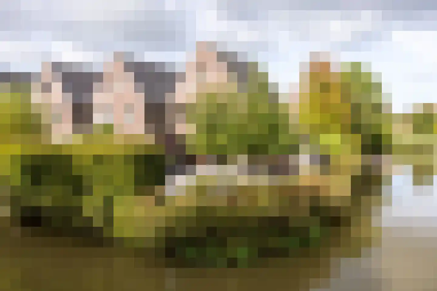 Richelhof 1 Berkel en Rodenrijs thumbnail 73