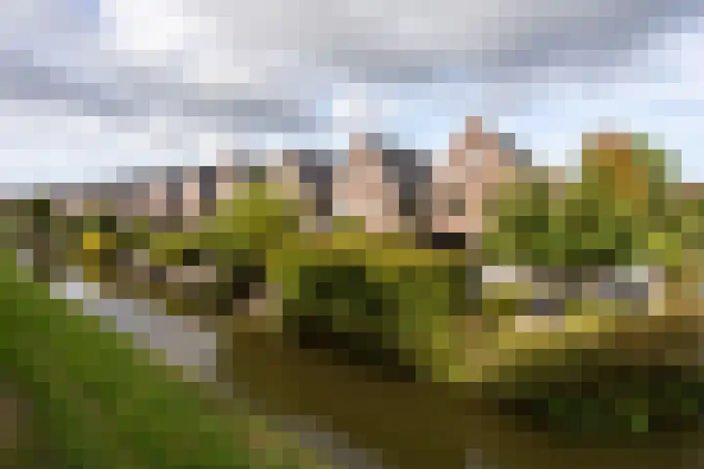 Richelhof 1 Berkel en Rodenrijs thumbnail 75