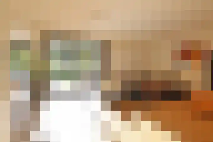 Richelhof 15 Berkel en Rodenrijs thumbnail 13