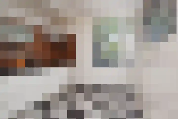 Richelhof 15 Berkel en Rodenrijs thumbnail 22