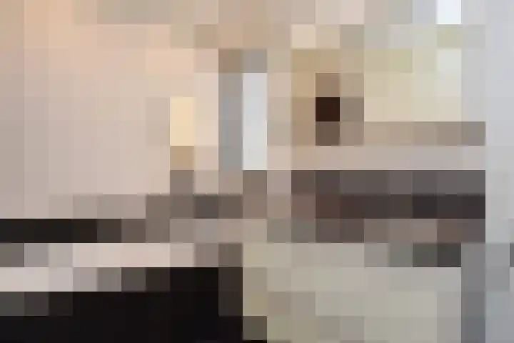 Richelhof 15 Berkel en Rodenrijs thumbnail 30