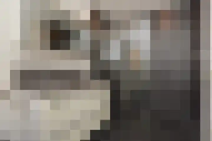Richelhof 15 Berkel en Rodenrijs thumbnail 31