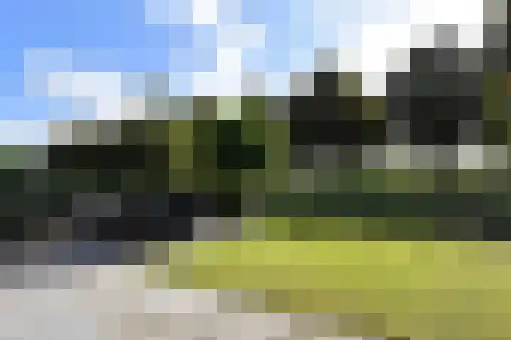 Richelhof 15 Berkel en Rodenrijs thumbnail 55