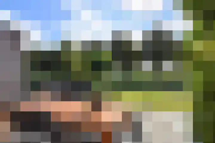 Richelhof 15 Berkel en Rodenrijs thumbnail 56