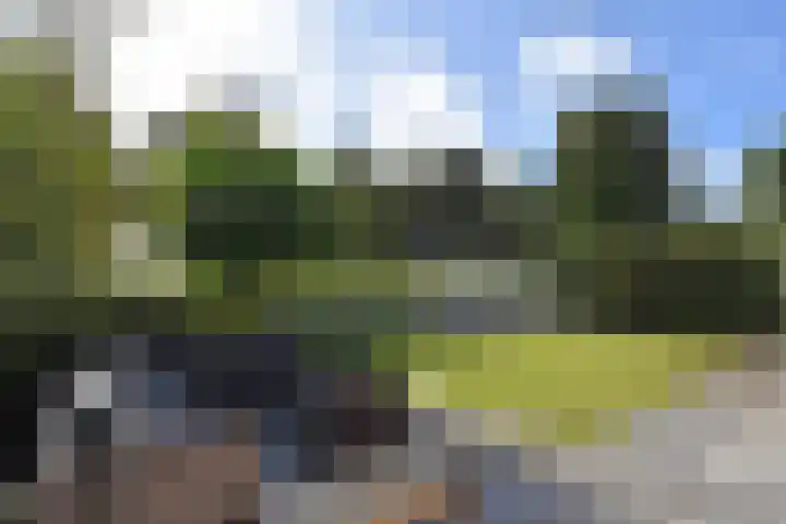 Richelhof 15 Berkel en Rodenrijs thumbnail 57