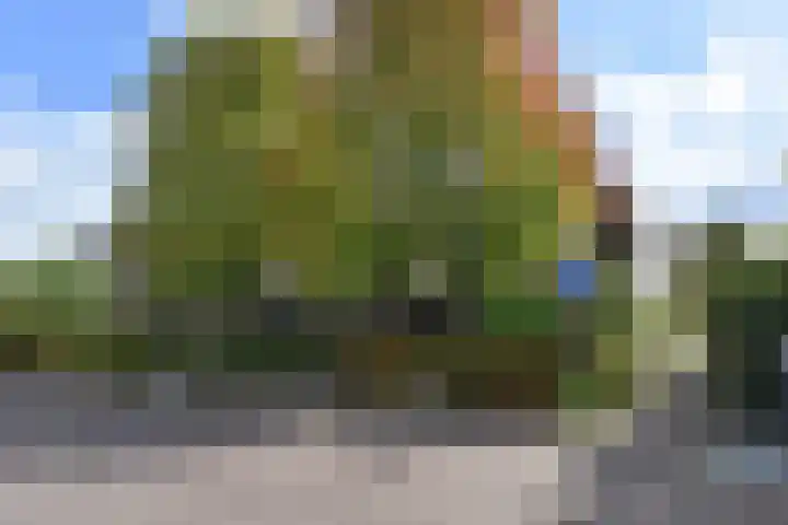 Richelhof 15 Berkel en Rodenrijs thumbnail 59