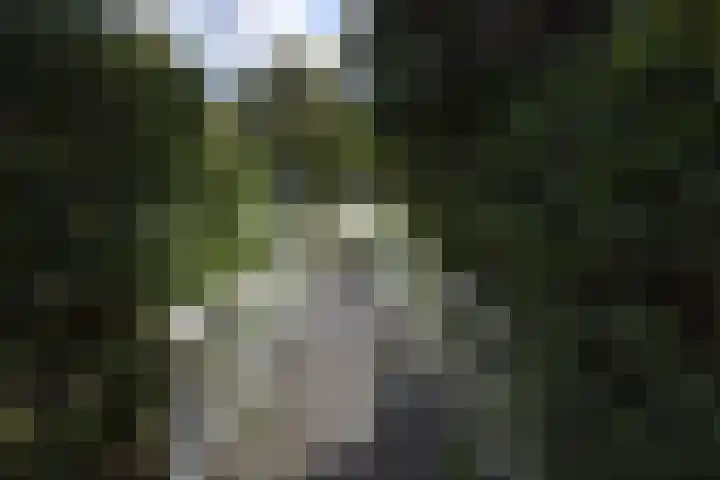 Richelhof 15 Berkel en Rodenrijs thumbnail 6