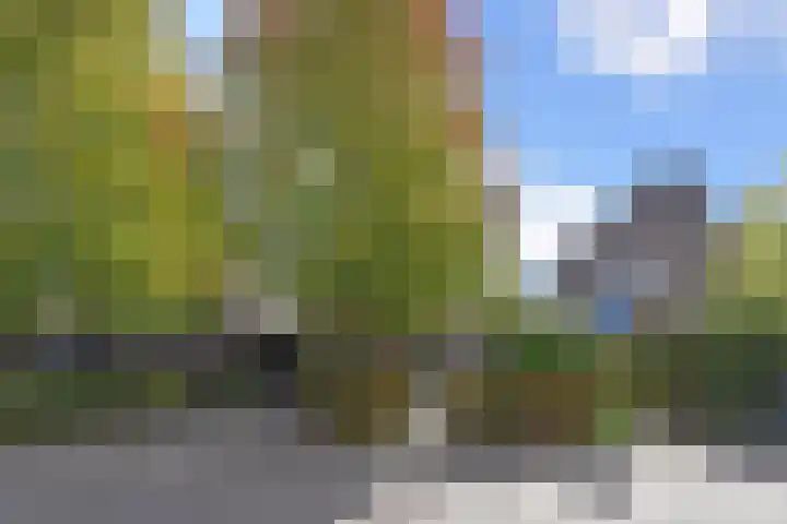 Richelhof 15 Berkel en Rodenrijs thumbnail 61