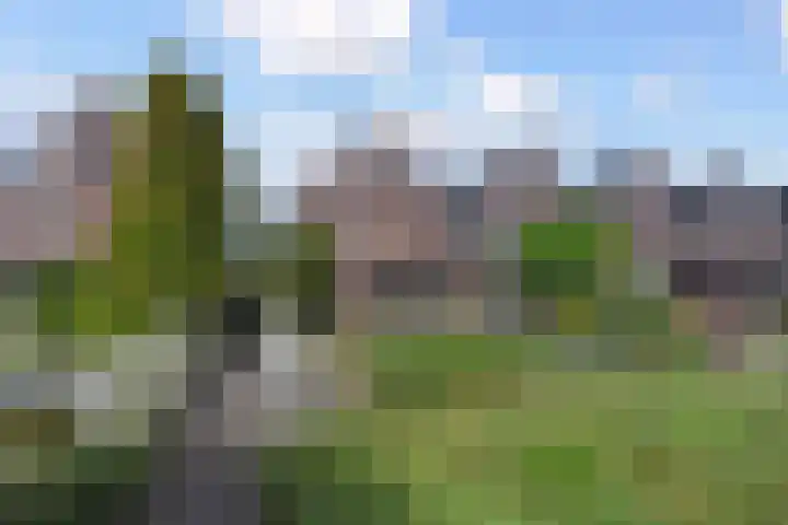 Richelhof 15 Berkel en Rodenrijs thumbnail 63