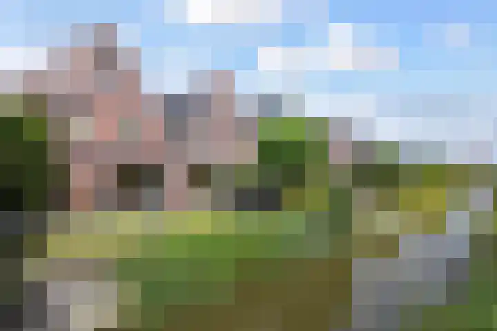 Richelhof 15 Berkel en Rodenrijs thumbnail 64