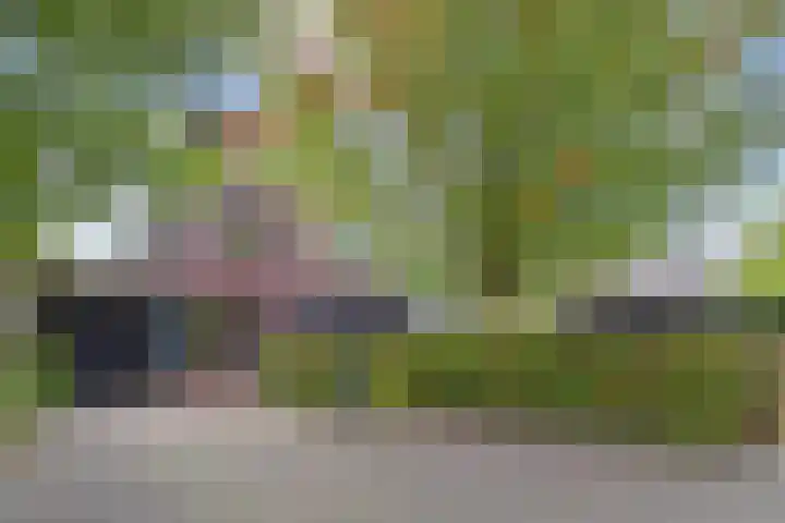 Richelhof 15 Berkel en Rodenrijs thumbnail 7