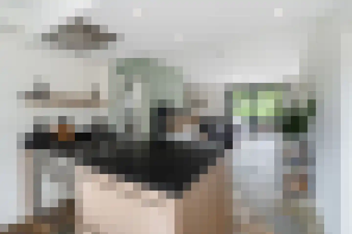 Richelhof 21 Berkel en Rodenrijs thumbnail 4