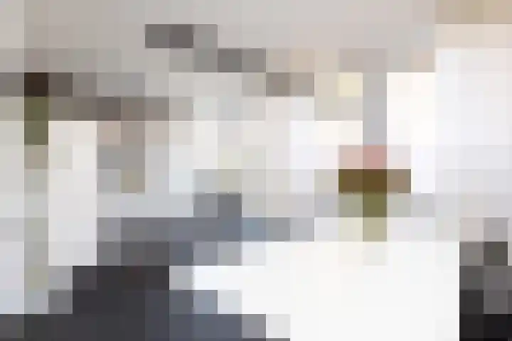 Richelhof 32 Berkel en Rodenrijs thumbnail 22