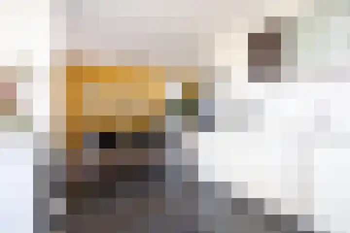 Richelhof 32 Berkel en Rodenrijs thumbnail 24