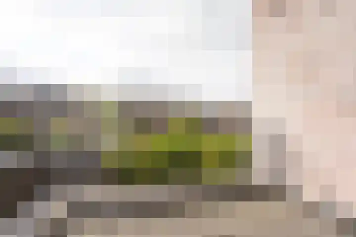 Richelhof 32 Berkel en Rodenrijs thumbnail 32
