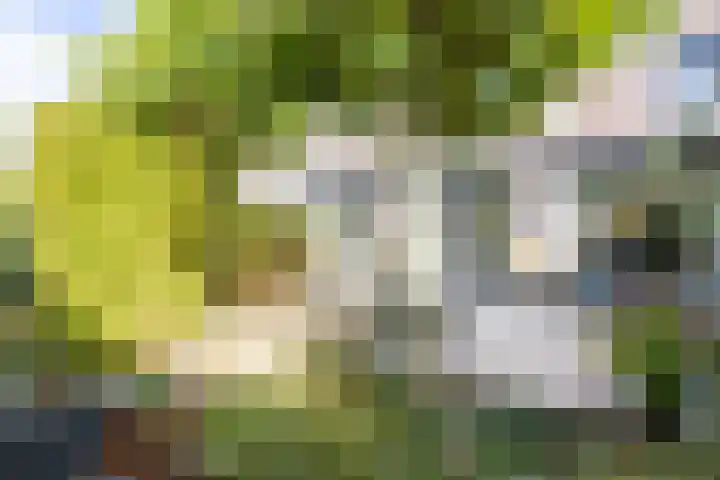 Richelhof 32 Berkel en Rodenrijs thumbnail 60