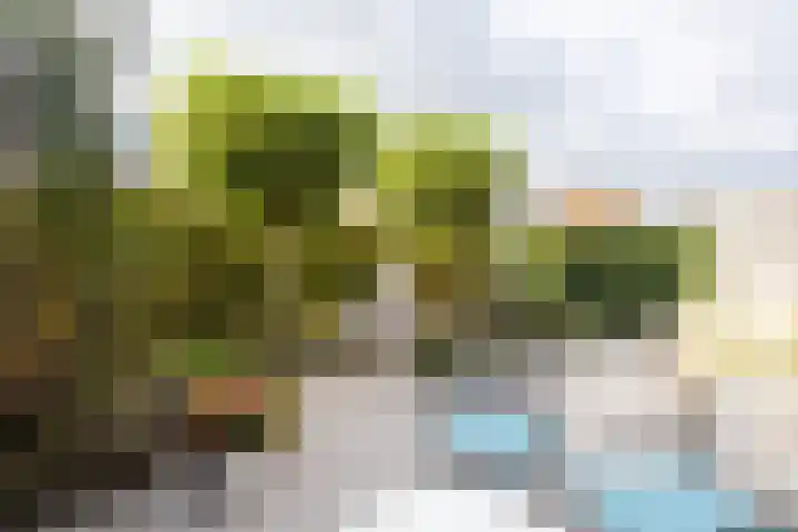 Richelhof 32 Berkel en Rodenrijs thumbnail 62