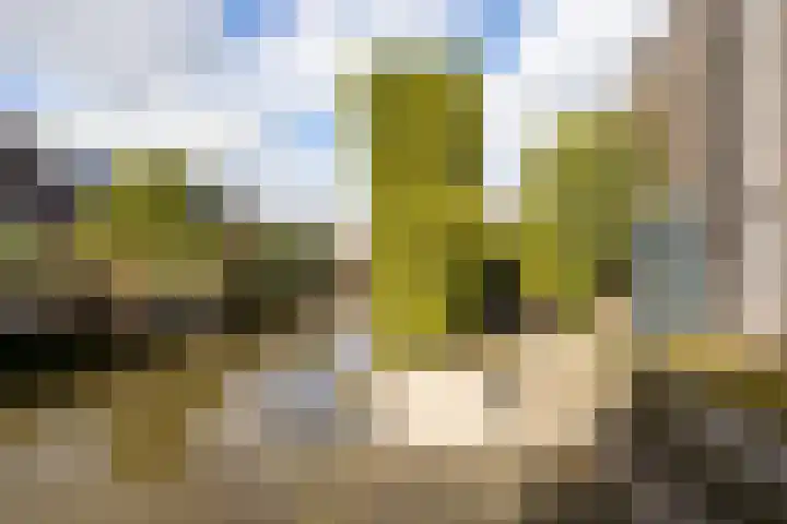 Richelhof 32 Berkel en Rodenrijs thumbnail 64