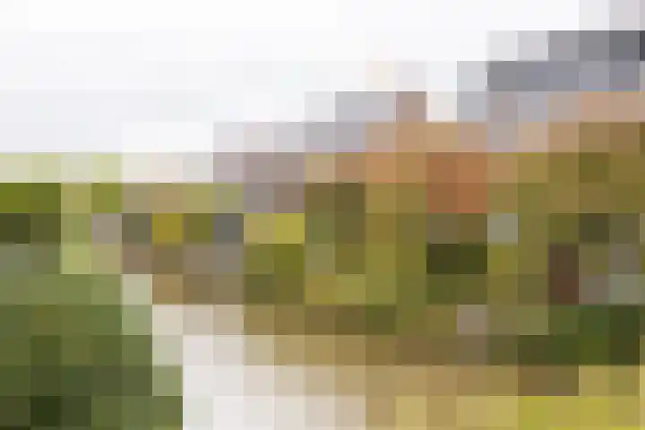 Richelhof 32 Berkel en Rodenrijs thumbnail 65