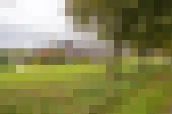 Richelhof 32 Berkel en Rodenrijs thumbnail 66