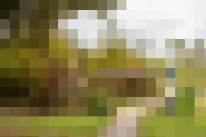 Richelhof 32 Berkel en Rodenrijs thumbnail 67