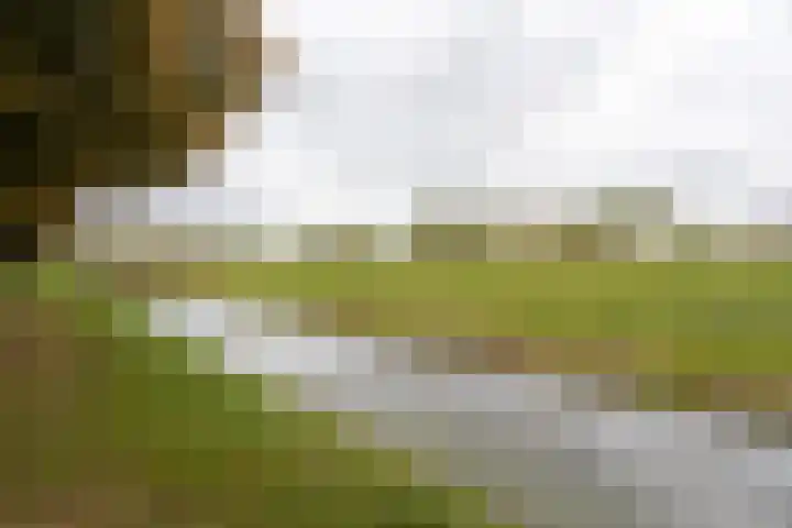 Richelhof 32 Berkel en Rodenrijs thumbnail 68