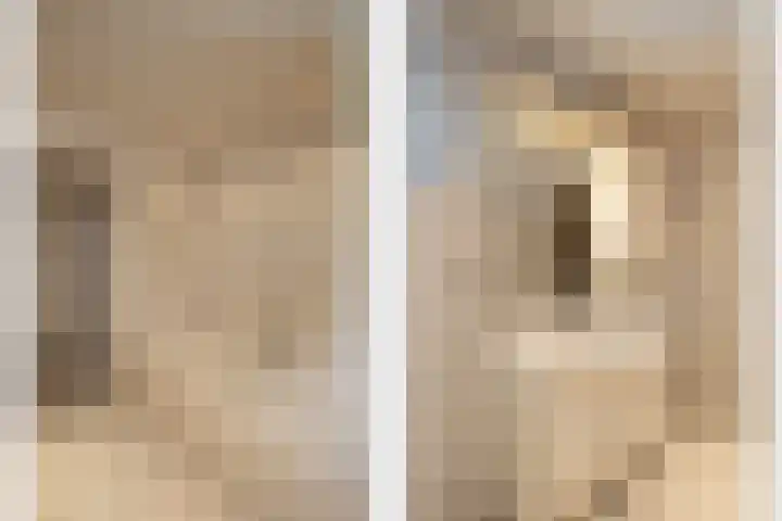 Richelpad 32 Lage Mierde thumbnail 12