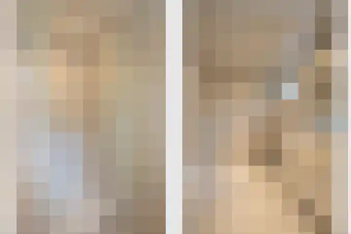 Richelpad 32 Lage Mierde thumbnail 13