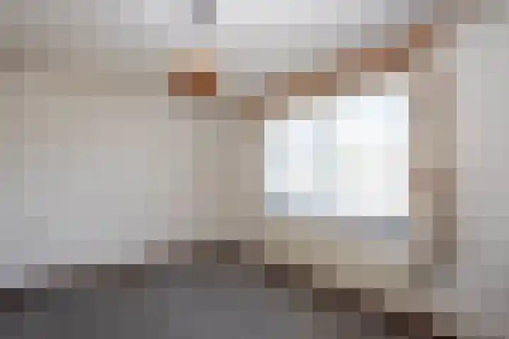 Richelpad 32 Lage Mierde thumbnail 18