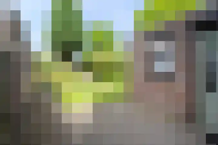 Richelpad 32 Lage Mierde thumbnail 21